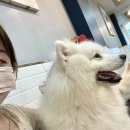 멈무아지트 이미지