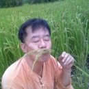잔등농장 Daum카페