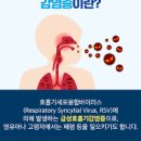 호흡기세포융합바이러스 RSV 감염증 증상 및 치료 (재채기 콧물 등) 이미지