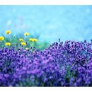 2025년 6월 18일 6시 30분 수요예배 / 예레미야 10:11 - 천지를 짓지 아니한 신들 이미지