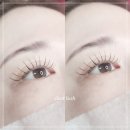 래쉬끌레르