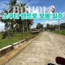 소생오토바이 | 스쿠터 렌트로 보홀 완벽 일주 자유여행기 (렌트비용, 여행코스 정리)