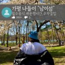 가평 남이섬 당일치기 여행 코스: 주차장 꿀팁, 배시간표부터 필수 먹거리까지 총정리
