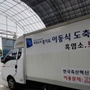 태양흑염소