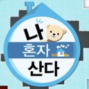 보보나인