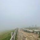 은산목장 | 대관령 삼양목장