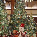 안면리조트 이미지