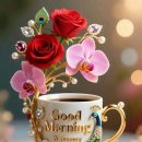 9월6일 💞애마지도 (愛馬之道)💞 로봇 시대💞서울 세계 불꽃 축제💞💞 이미지