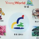 영월종합상가 이미지