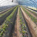 민환농장 이미지