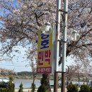 경호민박 | 강릉 경포호수 근처 신상 카페 경호카페