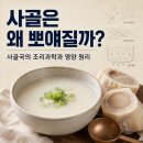 초산작은도서관 | 사골은 왜 오래 끓일수록 뽀얘질까? 사골국의 조리과학과 영양 원리
