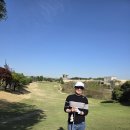 코리아 퍼블릭cc에서 이미지