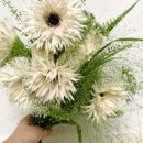 아뜰리에엠마