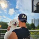 홈즈펫타운 이미지