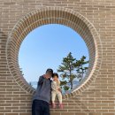 오송웨이브 이미지