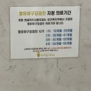 연세키즈사랑치과의원 | 20개월 아기 구강검진 후기 | 영유아 구강검진 시기 총정리