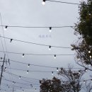 지평선모텔 이미지