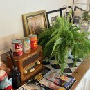 무드 맨션 | 제주 함덕 숙소 에어비엔비 추천! "무드맨션" 내돈내산 2박 후기