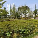 부산시민공원 이미지