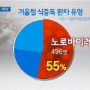 ■ 노로바이러스 장염, 원인.증상.예방.치료 이미지