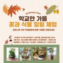 청림화분 이미지