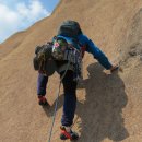 푸른솔길 이미지