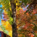 공지로 2R 이미지