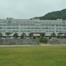 김해대학교