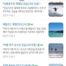 바구스서핑스쿨이호 네이버블로그