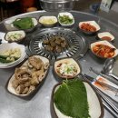 이지비야 이미지