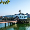 원광대학교박물관 이미지