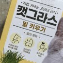 물금읍 동중5길 이미지