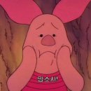 라인텐 이미지