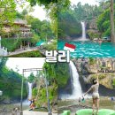 우림휘트니스클럽 | 발리 우붓 여행코스 옴마 데이클럽 뜨그눙안 폭포 수영장