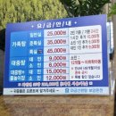 마금산온천 | 마금산원탕보양온천 가족탕 후기/ 주차, 웨이팅, 일반실 비교