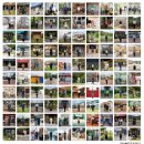 최용민 밴드와 함께하는 <재즈로 만나는 영화음악> 이미지