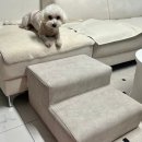 강아지 계단 추천 내돈내산 사사가구 엔트리 계단