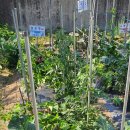 도학초등학교 이미지