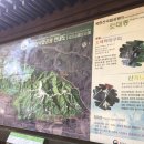 김밥과선술 | 정소요의 서울 단상 56 - 도봉산에 올라