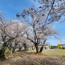 성송초등학교 이미지