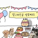 초심한우 정육식당 이미지