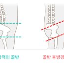 룩스필라테스 - 17175 | 룩스필라테스
