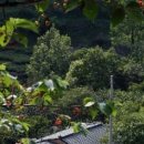 부춘마을 이미지