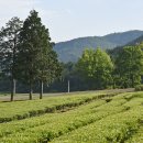 대한농장2 이미지