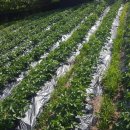 송내농장 이미지