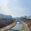 운중천반려견놀이터 이미지