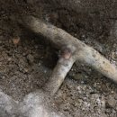 송탄여관 이미지