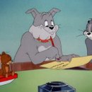 톰과제리 이미지