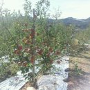 덕화농장 이미지